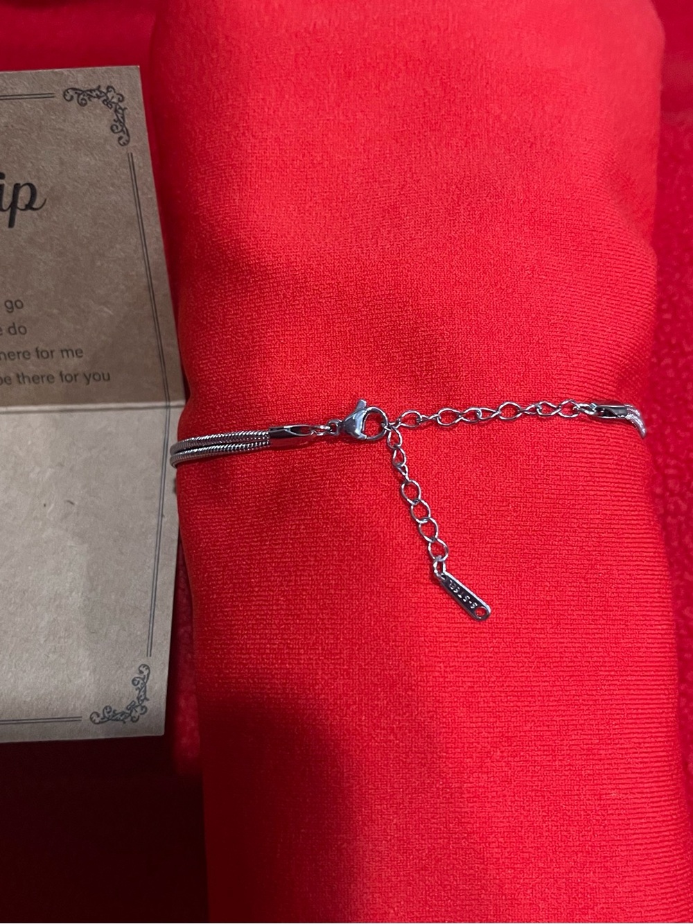 Delicate Knot Double-Strand Bracelet in Silver NWOT - Picture 5 of 5